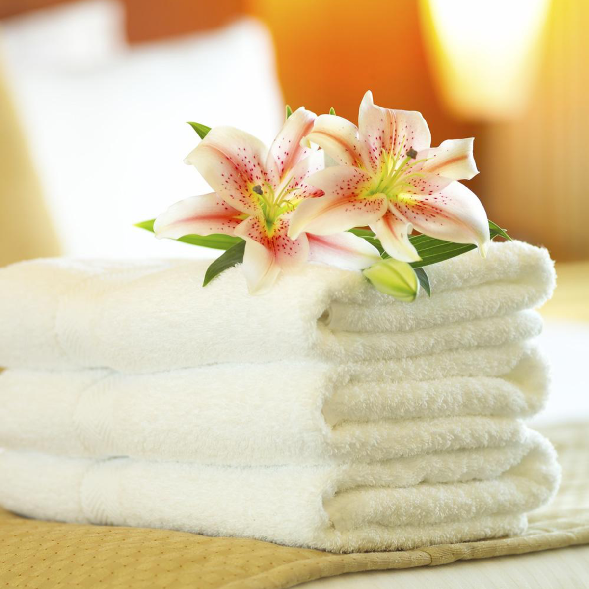 Fresh Linen