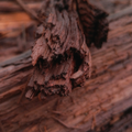 Teakwood